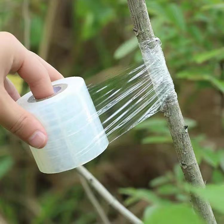 প্রসারিত ফিল্ম